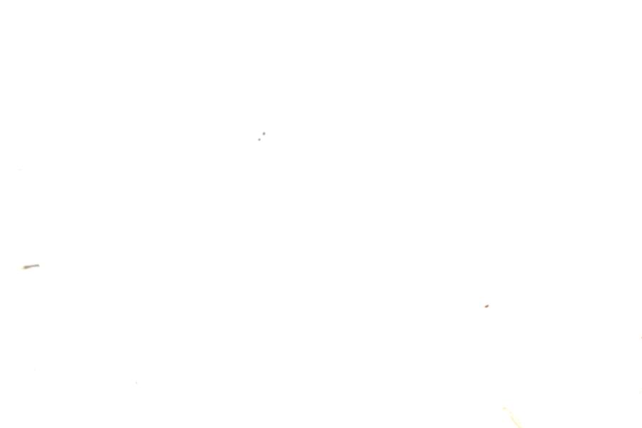 Image 150